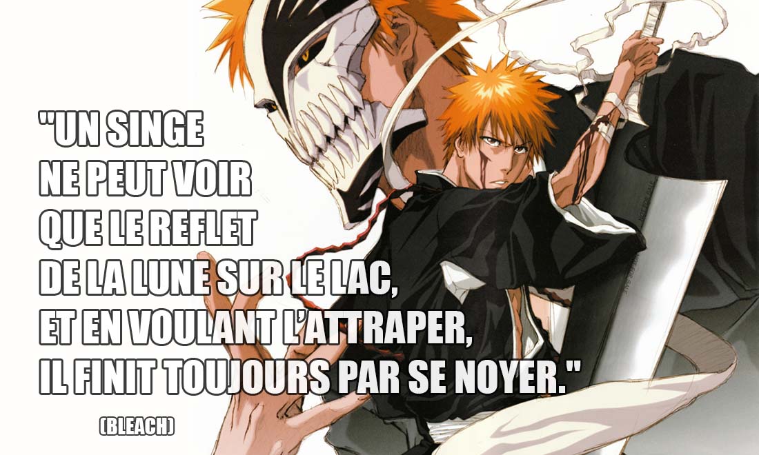 bleach un singe ne peut voir que le reflet de la lune sur le lac et en voulant l attraper il fini toujours par se noyer