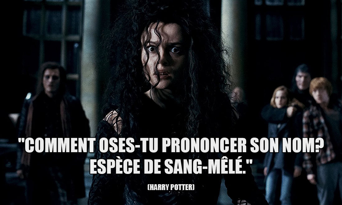 Harry Potter: Comment oses-tu prononcer son nom? Espèce de sang-mêlé.