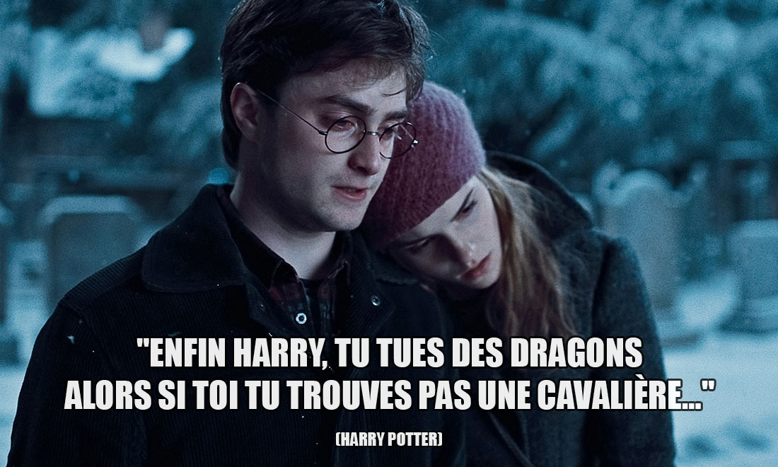 Harry Potter: Enfin Harry, tu tues des dragons alors si toi tu trouves pas une cavalière...