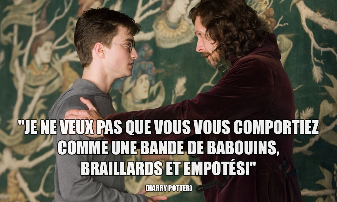 Harry Potter: Je ne veux pas que vous vous comportiez comme une bande de babouins, braillards et empotés!