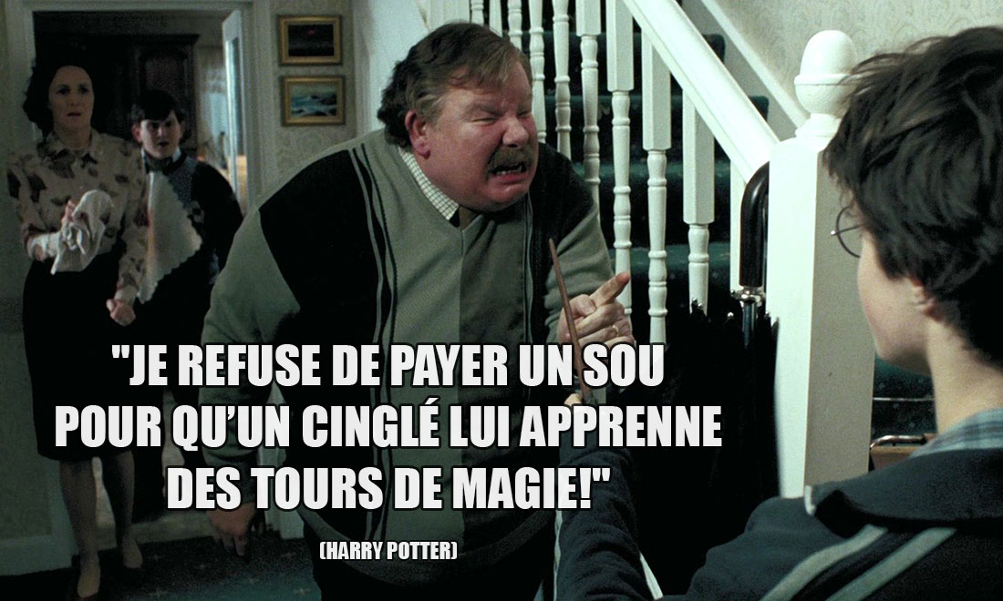 Harry Potter: Je refuse de payer un sou pour qu'un cinglé lui apprenne des tours de magie!