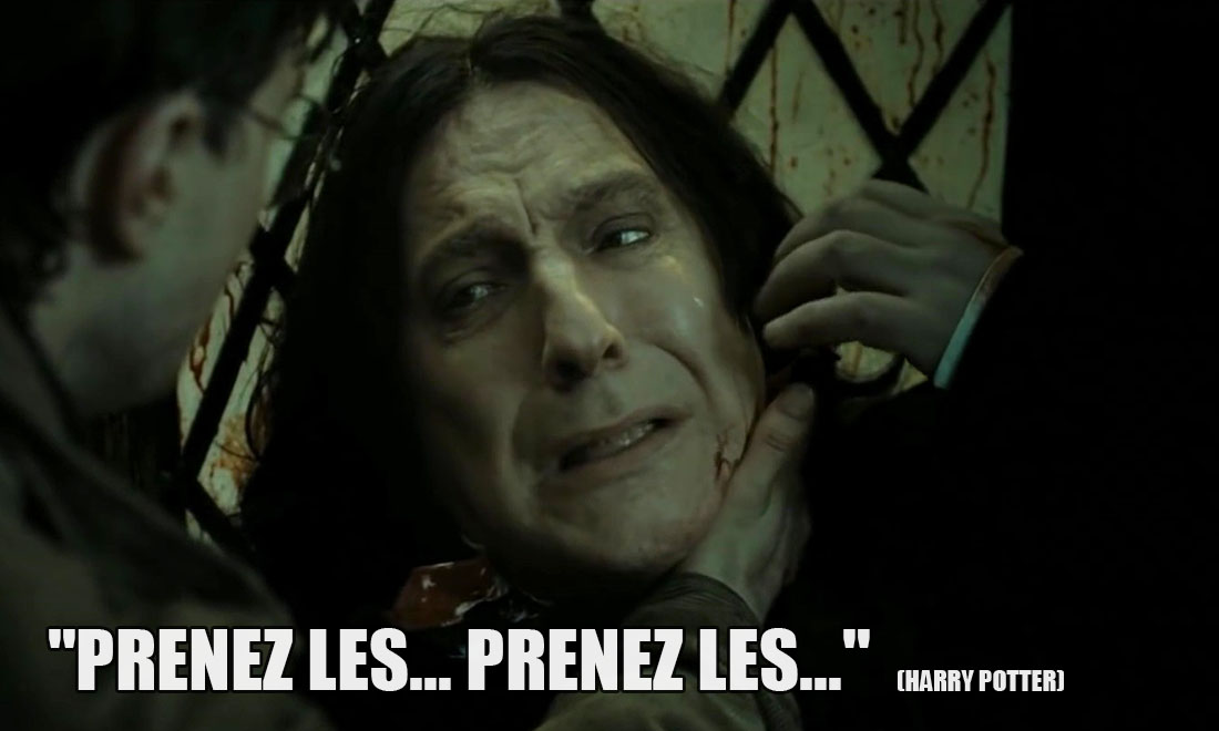 Harry Potter: Prenez les... Prenez les...