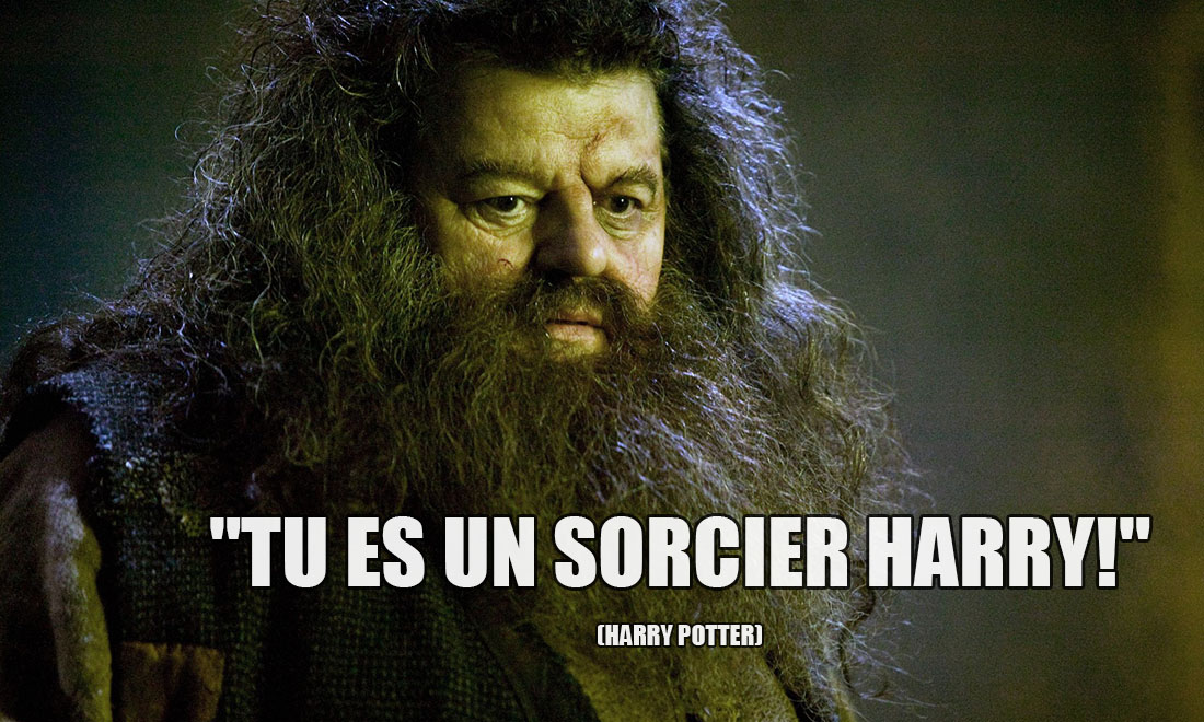 Harry Potter: Tu es un sorcier Harry!