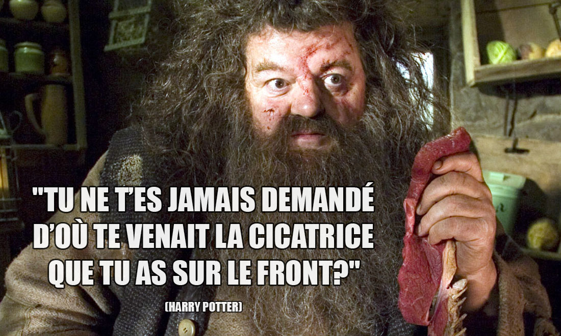 Harry Potter: Tu ne t'es jamais demandé d'où te venait la cicatrice que tu as sur le front?