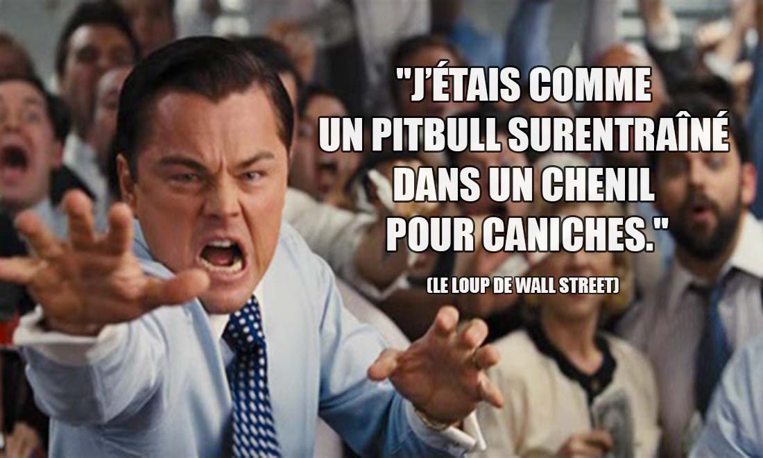 Le Loup de Wall Street: J'étais comme un pitbull surentraîné dans un chenil pour caniches.